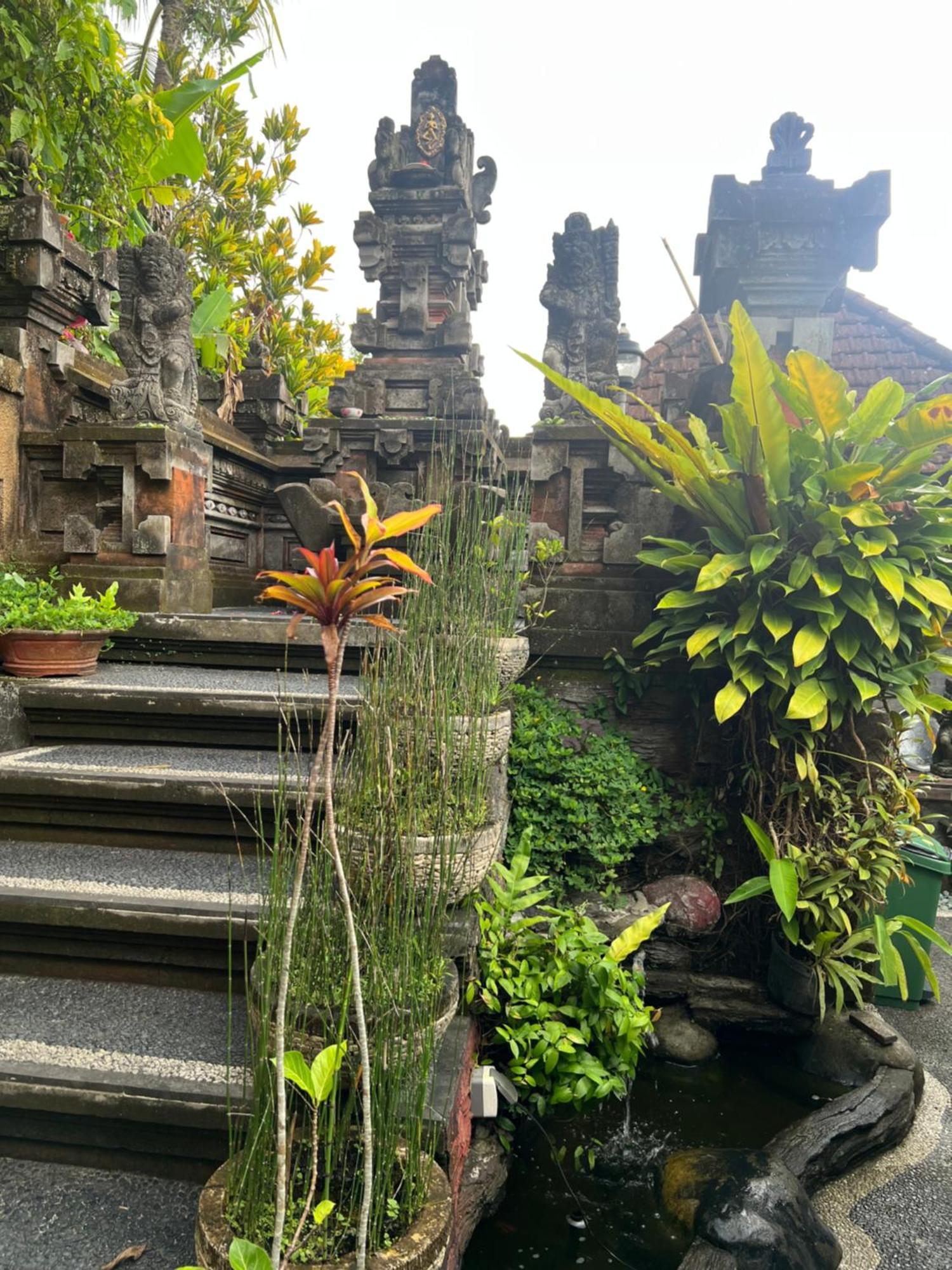Rumah Kelinci Ubud  Exterior photo