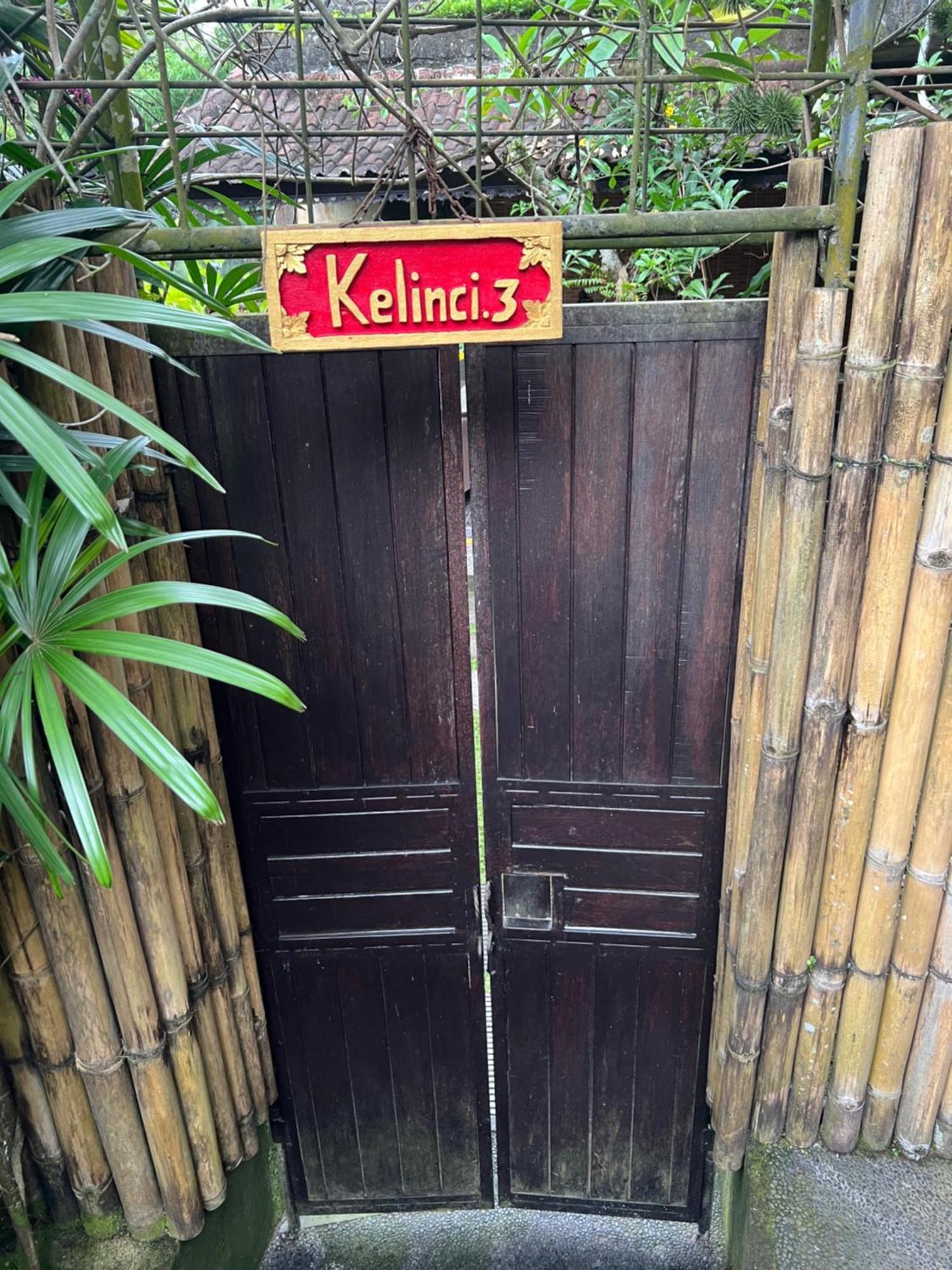 Rumah Kelinci Ubud  Exterior photo
